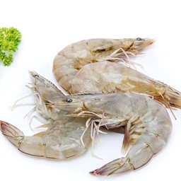 กุ้งขาว