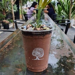 ชอคโกกราวน์