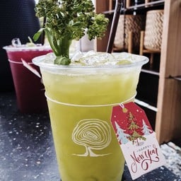 เรนฟอเรสท์