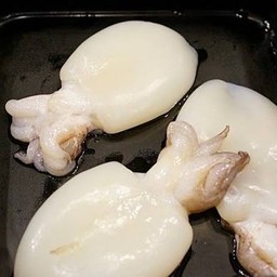 ปลาหมึกกระดอง