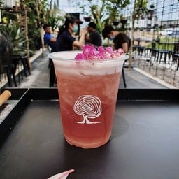 โรสเอเดน