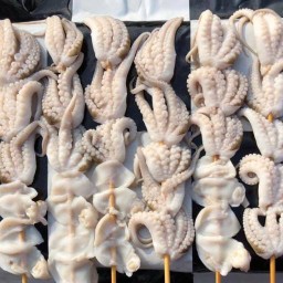 หมึกกะทิ