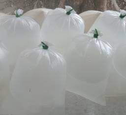 น้ำมะพร้าวน้ำหอมสดไม่ปั่น