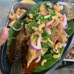 ปลาช่อนน้ำตก