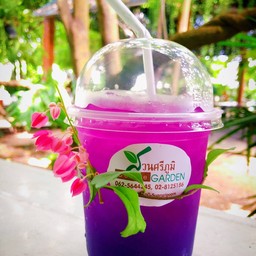 อัญชัญมะนาว เย็น