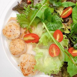 Scallop Salad