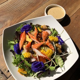 สลัดผักออแกนิก