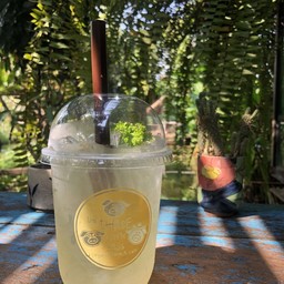 น้ำว่านหางใบเตย