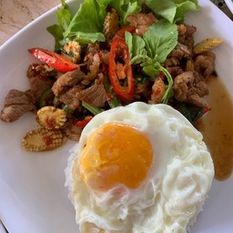 ข้าวราดผัดกะเพรา