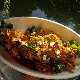 ปลาช่อนลุยสวน