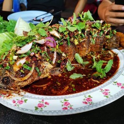 ปลาช่อนน้ำตก