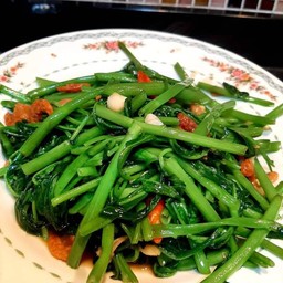 ผักบุ้งไฟแดง