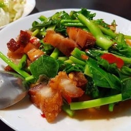 ผัดคะน้า