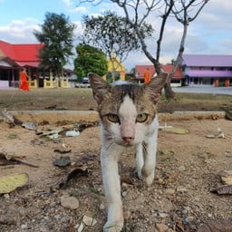 วัดศรีบุญเรือง