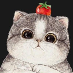 เป็ดปุ๊กเฮ้าส์