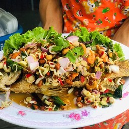 ปลากะพงลุยสวน