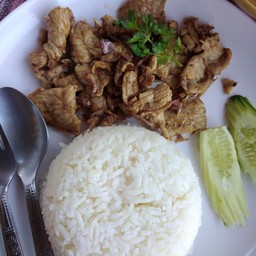 ข้าวหมูทอดกระเทียมพริกไทย