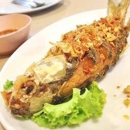 ปลากระบอกทอดขมิ้น