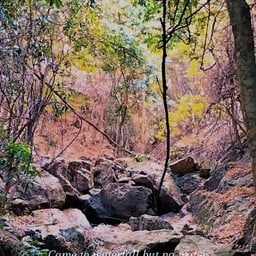 วนอุทยานน้ำตกดอนศิลา-ผางาม