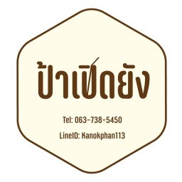 ป้าเปิดยัง