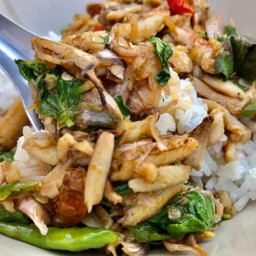 ข้าวกระเพราปู