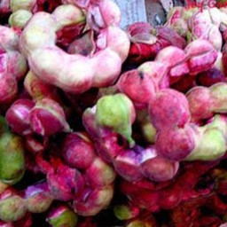 มะขามเทศพันธ์สีชมพู 1 กิโลกรัม