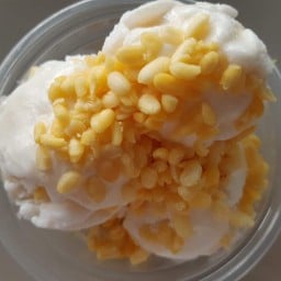 หมีใหญ่ไอติมกะทิ หมู่บ้านเดอะกาเด้นท์วิลล่า 2 เนเชอร์