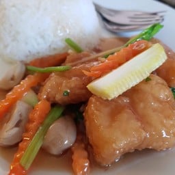 ข้าวราดปลาผัดคึ่นช่าย