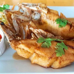 ปลากระพงทอดน้ำปลา