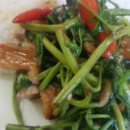 ข้าวกระเฉดหมูกรอบ