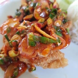 ข้าวราดพล่าปลาทอด