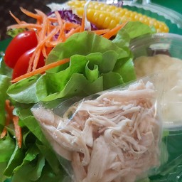 สลัดผัก อกไก่ฉีก