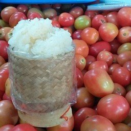 ข้าวเหนียว