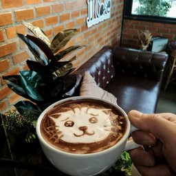 โกโก้ร้อน