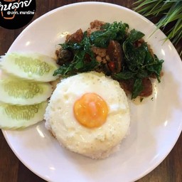 กะเพราไข่เยี่ยวม้าไข่ดาว