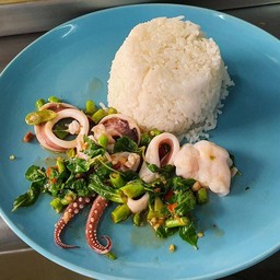 ข้าวกระเพราปลาหมึก