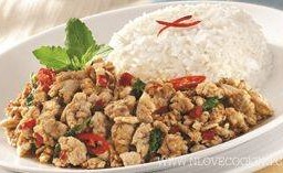 ข้าวราดกระเพราไก่
