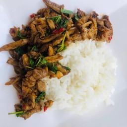 ข้าวกะเพราเป็ด