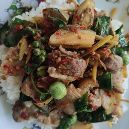 ผัดเผ็ดหมูป่าราดข้าว