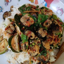 ผัดเผ็ดปลาไหลราดข้าว