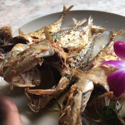 ปลาทูสดทอดราดน้ำปลา