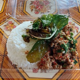 ข้าวกระเพราเนื้อสับ+ไข่เยี่ยวม้า