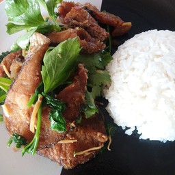 ปลาช่อนผัดคื่นช่ายราดข้าว