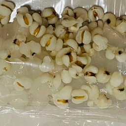 น้ำเต้าหู้ทรงเครื่อง ธรรมดา