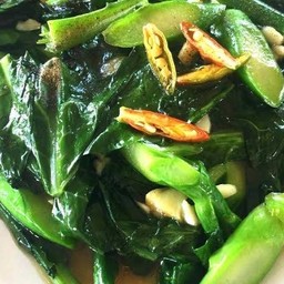 ผัดคะน้าน้ำมันหอย (กับข้าว)