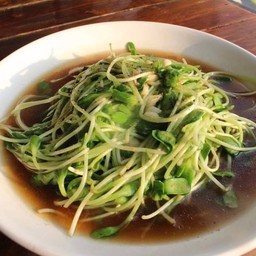 ต้นอ่อนทานตะวันผัดน้ำมันหอย