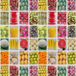 ผลไม้ Fruit funny ลำสาลี
