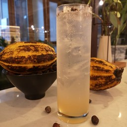 Sparkling Fresh Cacao Juice