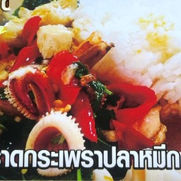 ข้าวราดกระเพราปลาหมึก (ร้านครัวศรีสยามอาหารตามสั่ง)