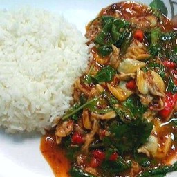 ข้าวราดเนื้อหอยลายผัดพริกเผา